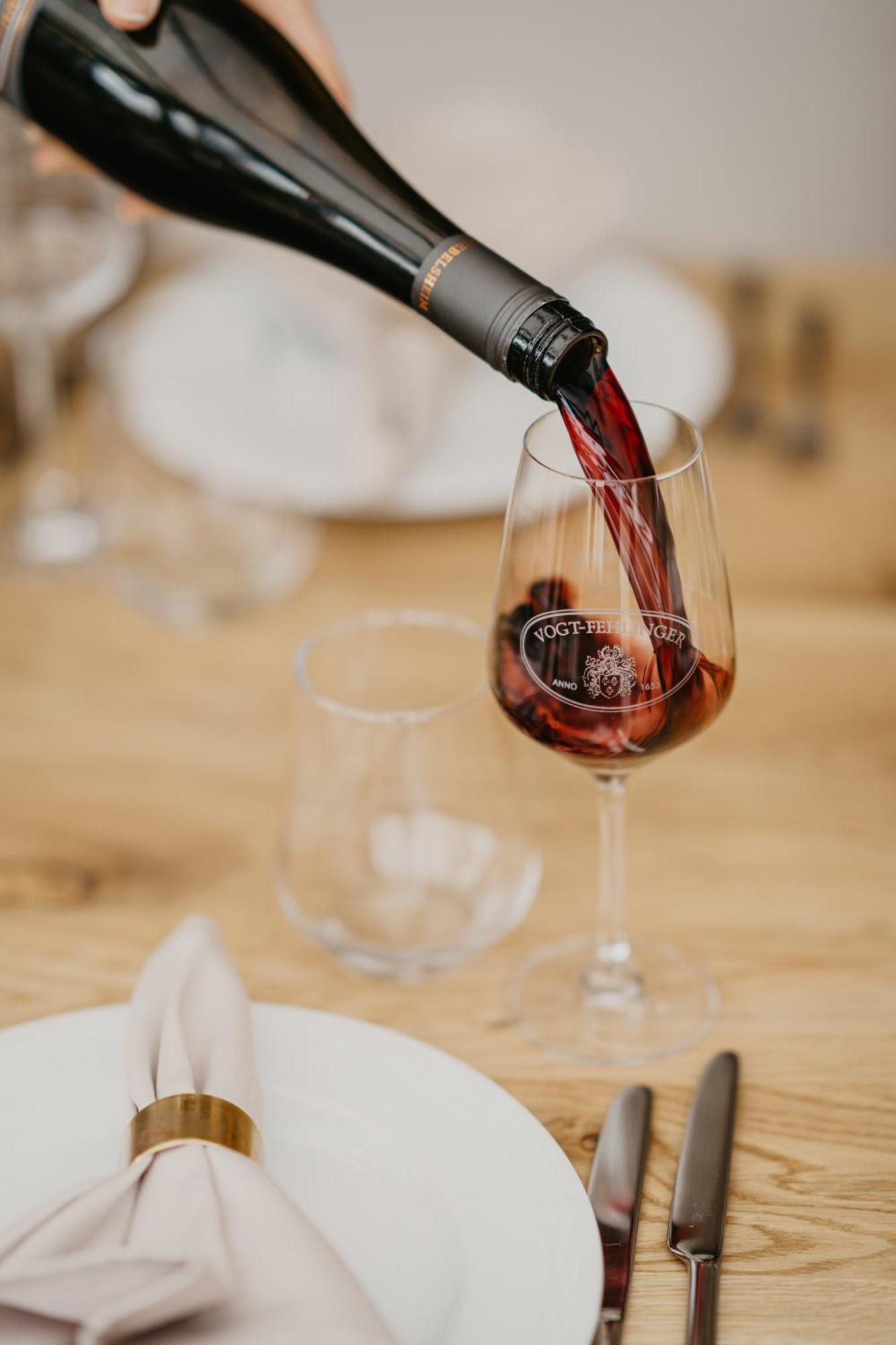 Weingut U. Gaestehaus Vogt-Fehlinger Biebelsheim 外观 照片